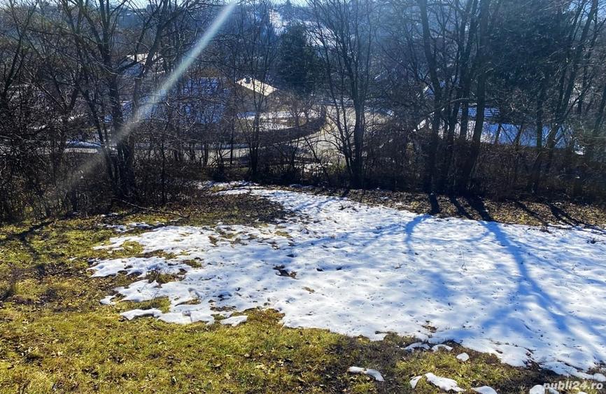 Teren de 10000 mp, în Cornu