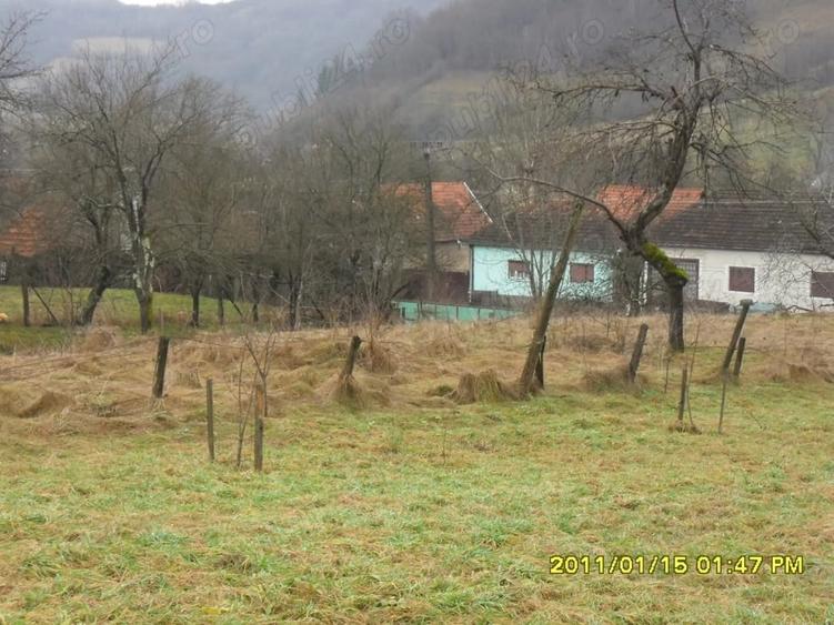 Teren de 1924 mp, în Moneasa