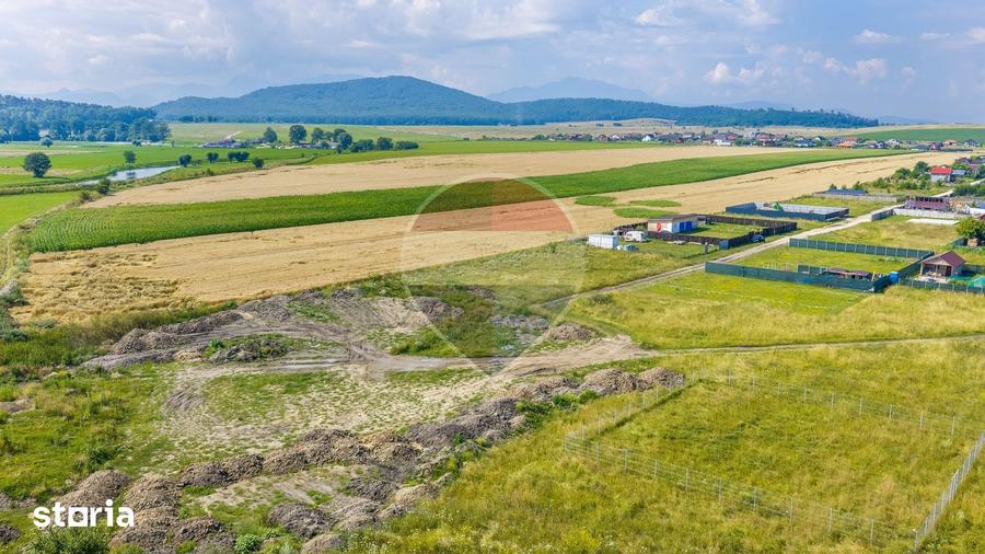 Teren de 606 mp, în Central