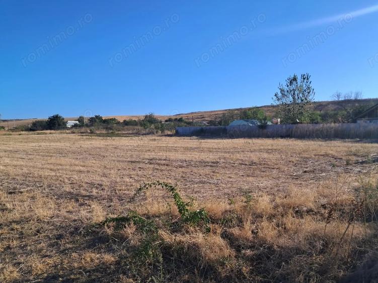 Teren de 4600 mp, în Stejaru