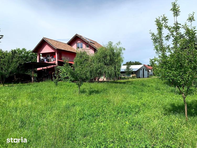 Casă cu 7 camere decomandat cu Teren 1000 Mp în Bănești