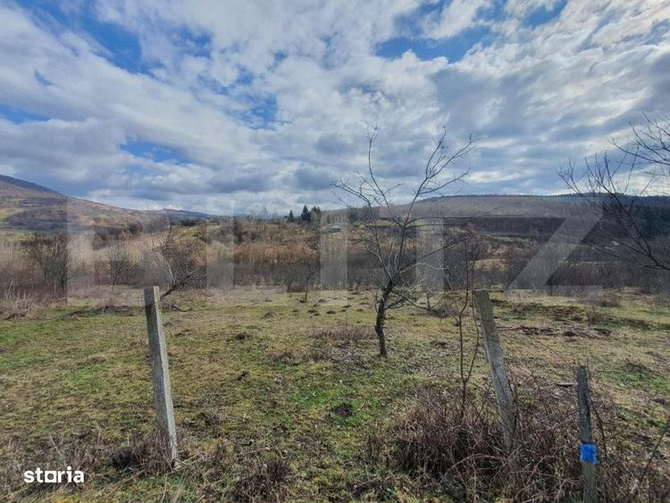 Teren extravilan, peste 80 de ari de vanzare in Bistrita, pe Valea Ghi - 2
