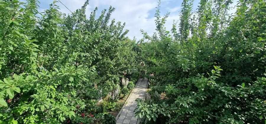 Casă individuală cu 2 camere cu Canalizare în Valu lui Traian