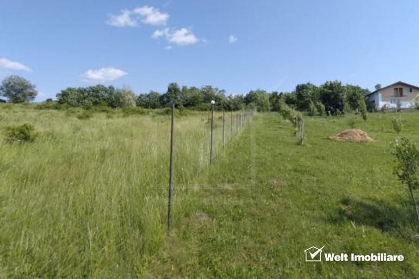 Teren agricol intravilan de 2673 mp, în Feiurdeni