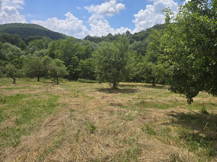 Casă cu 2 camere în Cepari