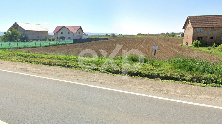 Teren Construcții intravilan de 4514 mp, în Luizi-Călugăra
