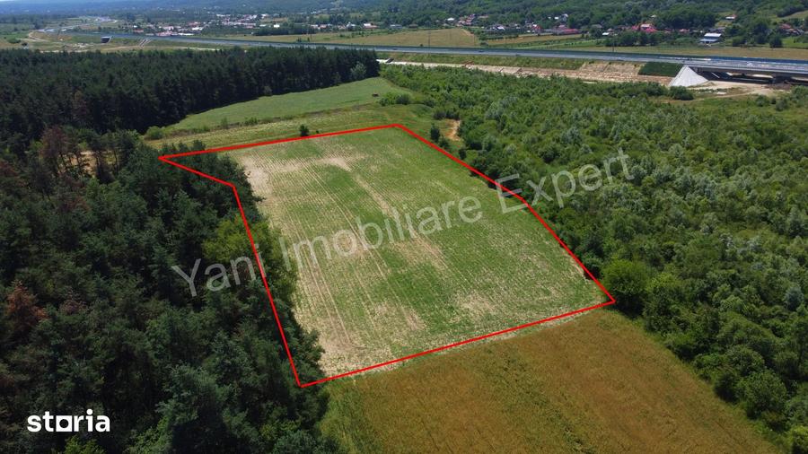 Teren de 11000 mp, în Băiculești