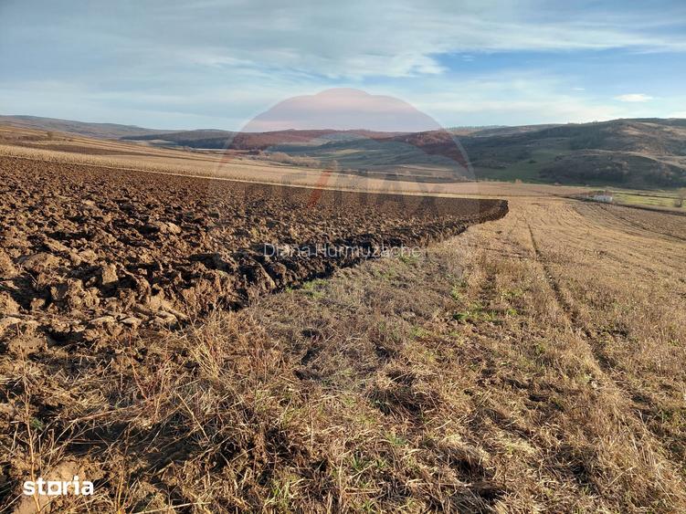 Teren 7,200mp Secuieni / DN Principala