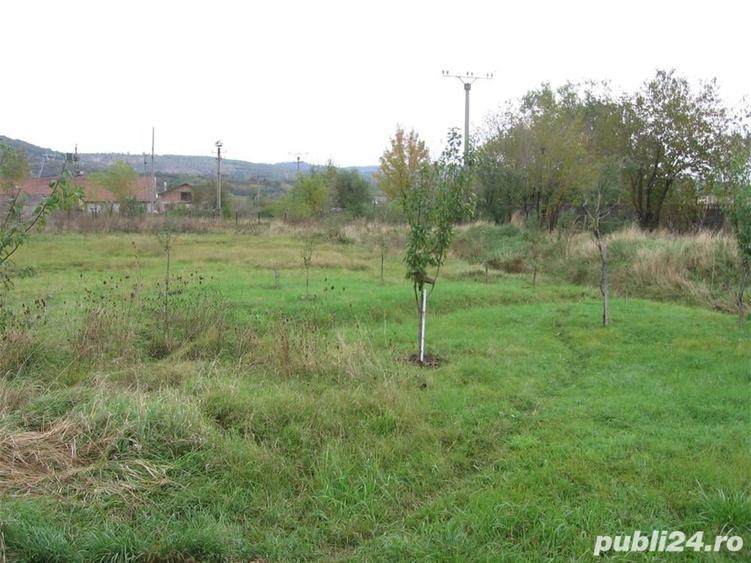 Spațiu comercial, de 150 mp, în Halânga