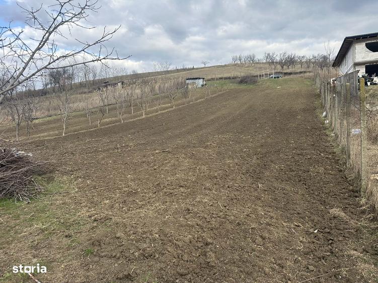 Teren de 1724 mp, în Popricani