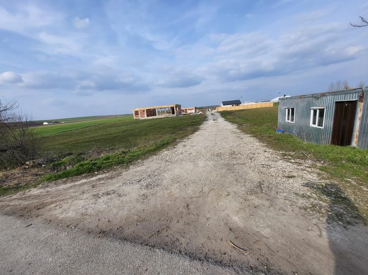 Teren Construcții intravilan de 769 mp, în Comana