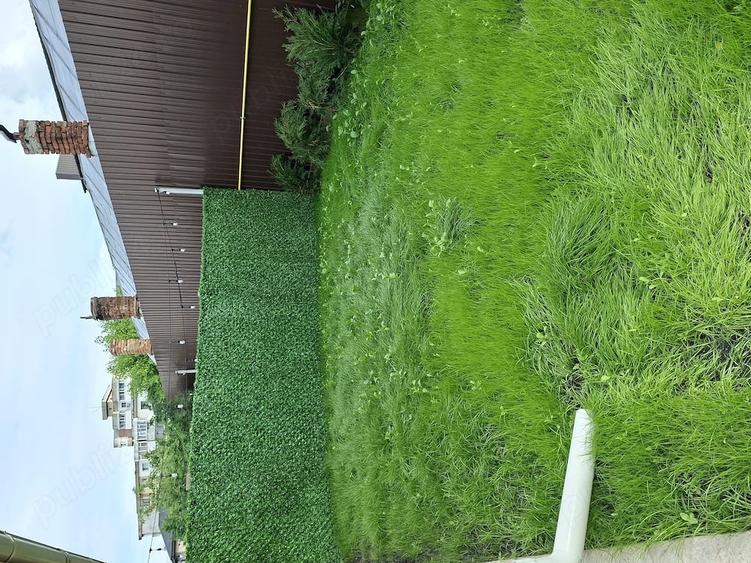 Casă cu 4 camere cu Teren 250 Mp în Central