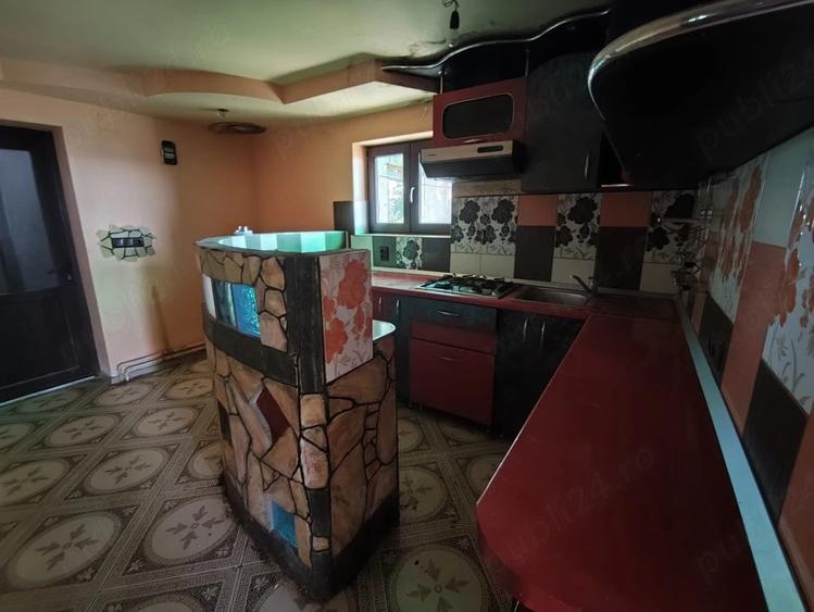 Casă cu Teren 5000 Mp în Valea Crișului