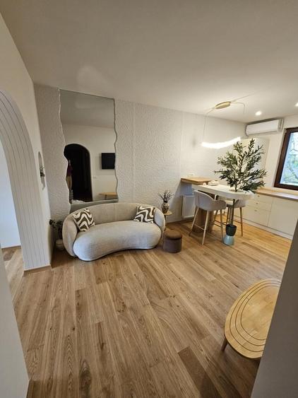 Floreasca, Ceaikovski apartament cu 2 camere de vanzare lux - 5