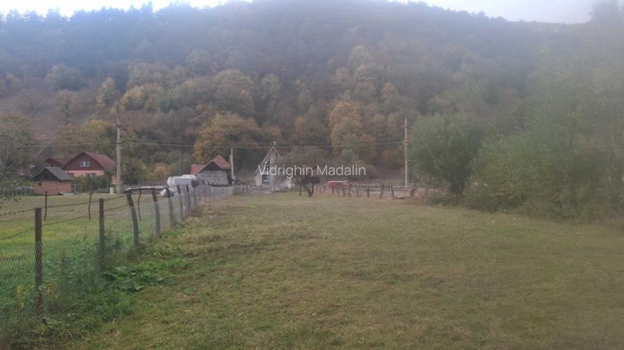 Vand teren intravilan 1.000 mp in Rau Sadului, Sibiu