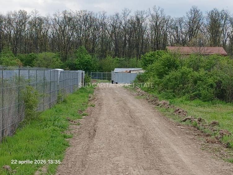 Teren Construcții intravilan de 900 mp, în Cernica