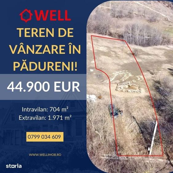 Spațiu comercial, în Pădureni