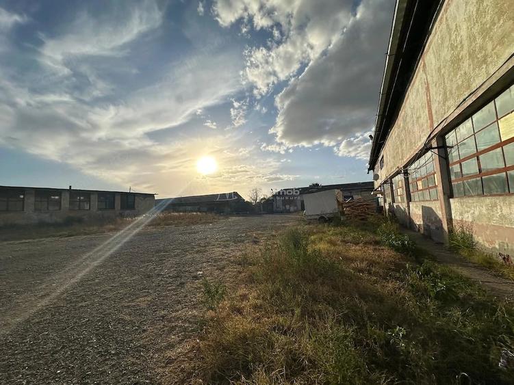 Teren de 17564 mp, în Berzovia