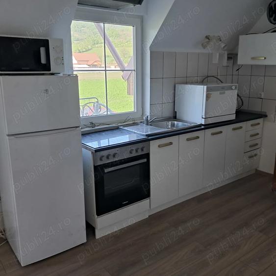 Casă cu 3 camere cu Teren 2200 Mp în Hetiur