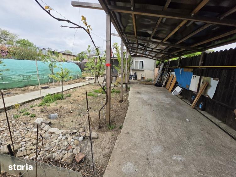Petricani, strada Steaua Rosie, Lacul Plumbuita, 600 mp, utilitati - 4