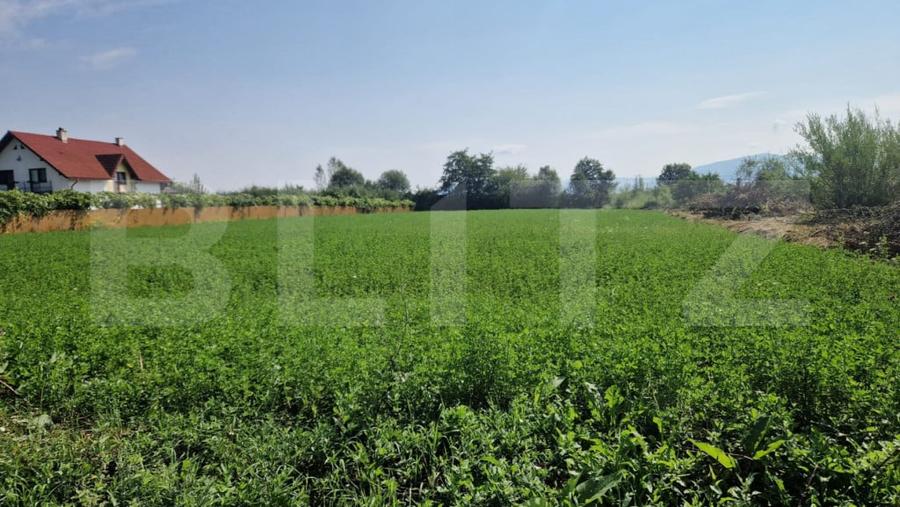 Teren intravilan de vanzare, 3800 mp, zona Vest - 3