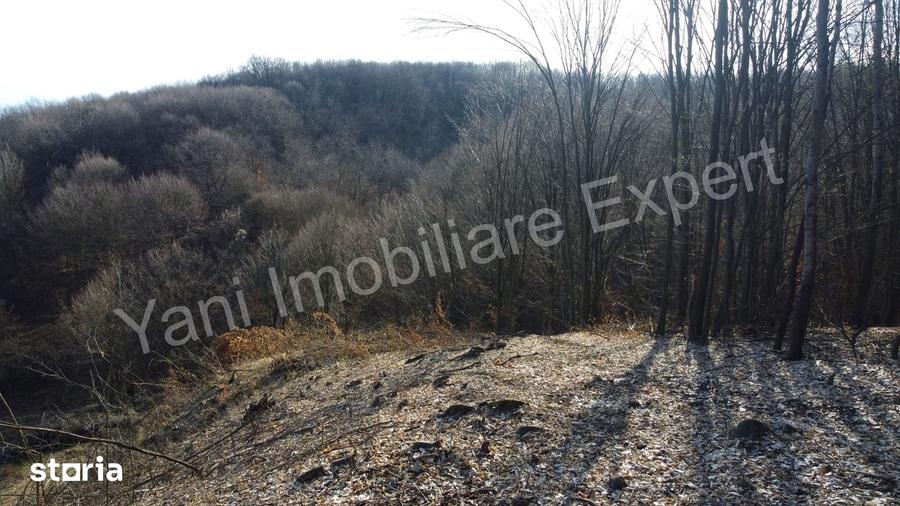 Teren de 4821 mp, în Băiculești