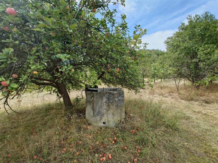 Teren Construcții intravilan de 6354 mp, în Mihăileni