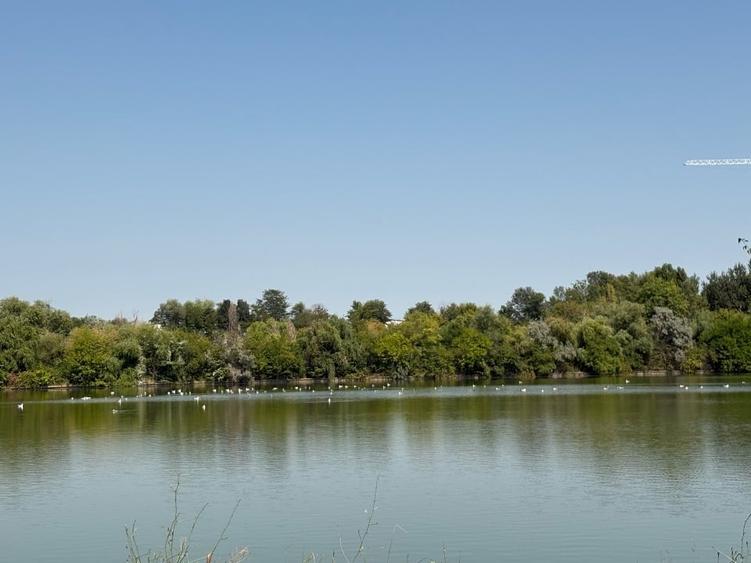 Casă individuală cu 5 camere cu Canalizare în Tei