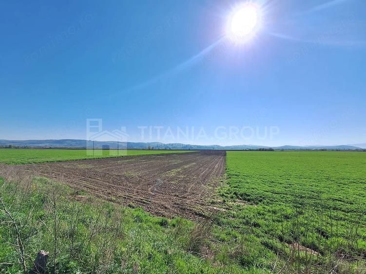 Teren extravilan, 8700 mp, pretabil agricultura sau investi?ie - Bod - 9