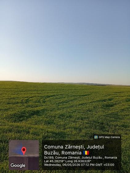 Teren agricol extravilan de 10000 mp, în Zărnești