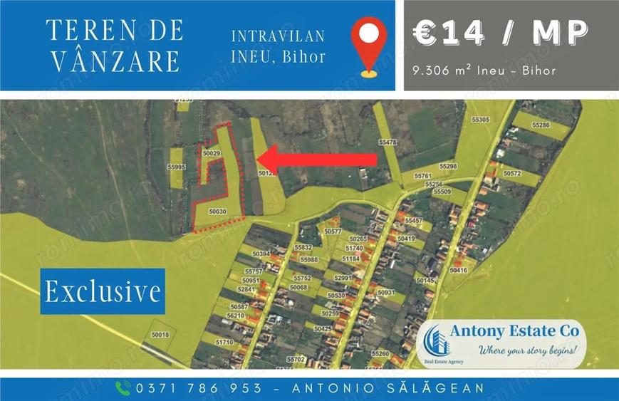 Teren de 9306 mp, în Ineu