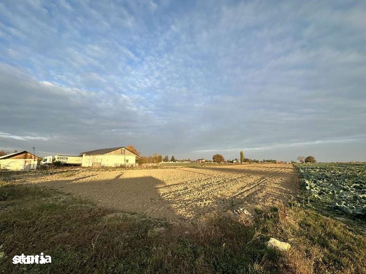 Teren de 10000 mp, în Slobozia