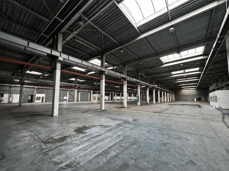 Spațiu industrial, de 20,702 mp, în Timișoara
