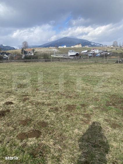Teren de 12500 mp, în Poiana Stampei
