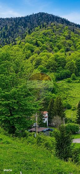 Teren intravilan 2500mp | Zarne?ti | Parcul Na?ional Piatra Craiului - 3