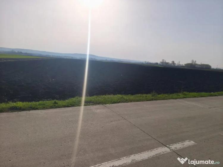Teren în Satu Mare