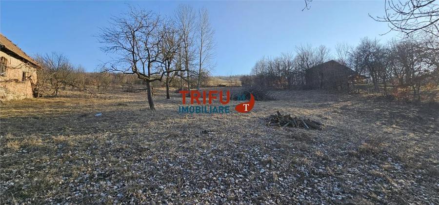 Teren Construcții intravilan de 1365 mp, în Ampoița