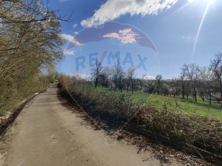 Teren Construcții intravilan de 1646 mp, în Cărbunari