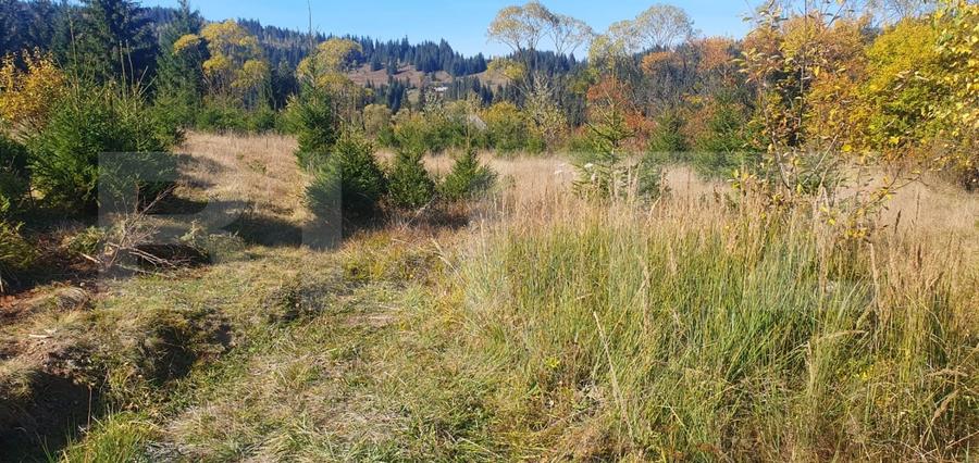 Teren Construcții intravilan de 1477 mp, în Vatra Dornei
