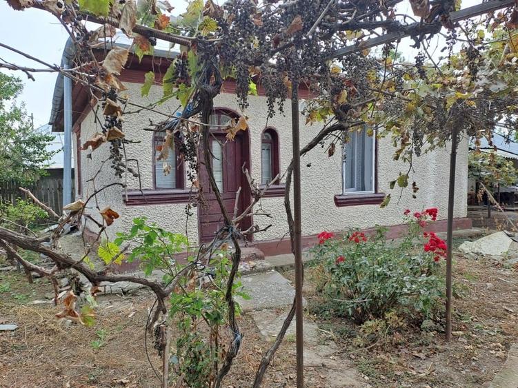 Casă cu 4 camere cu Teren 1334 Mp în Sărățeni