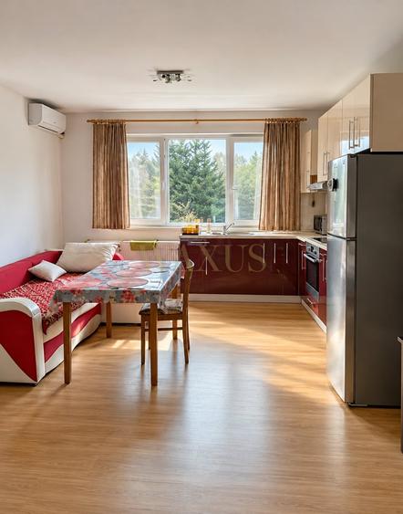 Apartament cu 2 camere semidecomandat, mobilat în Florești