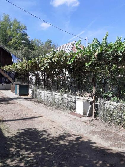 Casă cu 3 camere în Valea