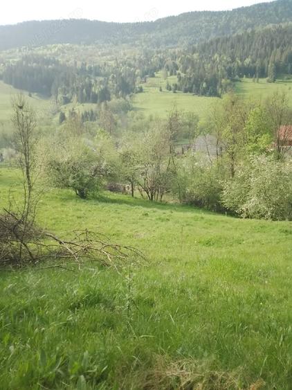 Spațiu comercial, în Vidra
