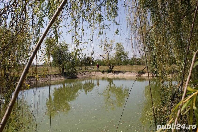 Teren de 250000 mp, în Central