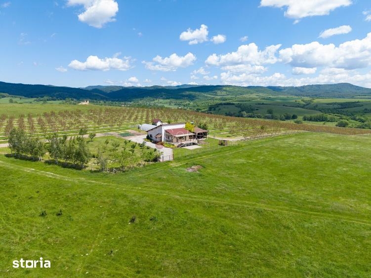 Teren de 68800 mp, în Dumbrăvița