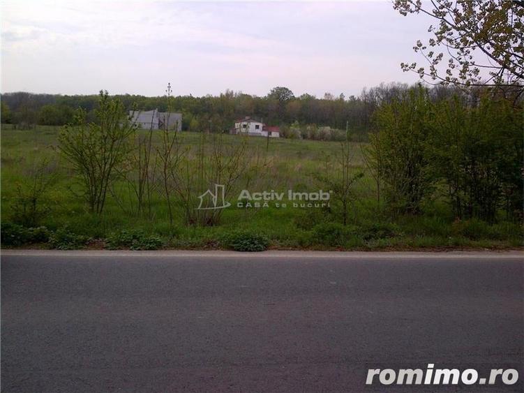 Teren de 5000 mp, în Ciolpani