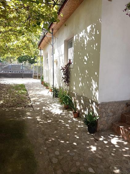 Casă cu 3 camere cu Teren 1000 Mp în Central