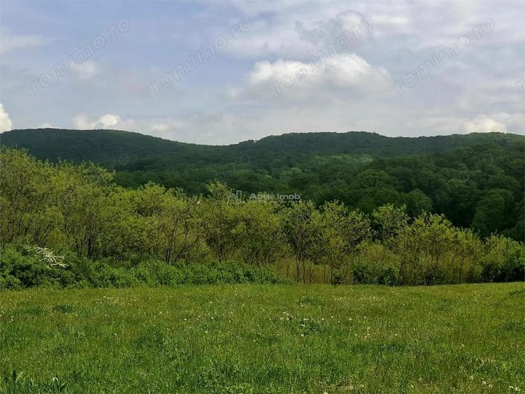 Teren de 923 mp, în Periferie