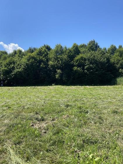 Teren de 2000 mp, în Vlădeni
