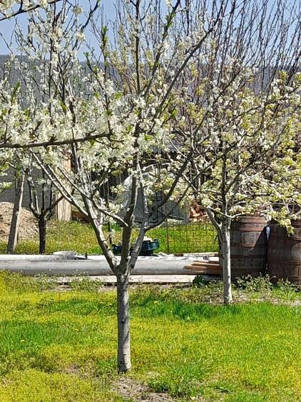 Casă cu Teren 2200 Mp în Cândești